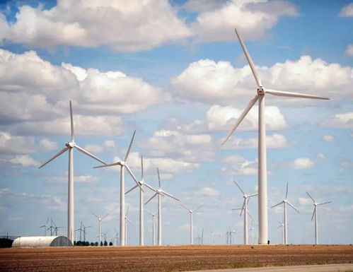 建風(fēng)機(jī)制造廠 簽全球最大儲能項(xiàng)目,中企助力沙特發(fā)展清潔能源