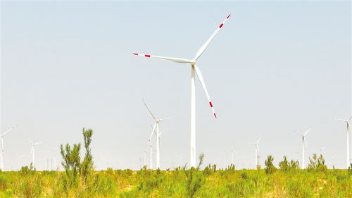 全國黨報 新媒體 甘肅武威調(diào)研行 天馬故里 大美涼州