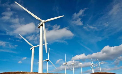 風力發(fā)電的危害有多大 歐美都紛紛叫停,為啥我國依舊大力建造