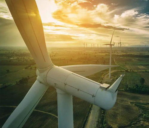 風(fēng)力發(fā)電 清潔能源的潛力與挑戰(zhàn)